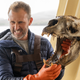 Ian Shive poses with a sea lion skull.